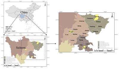 Government regulations, biosecurity awareness, and farmers' adoption of biosecurity measures: Evidence from pig farmers in Sichuan Province, China